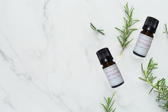 Huile essentielle bio de Thym Thymol