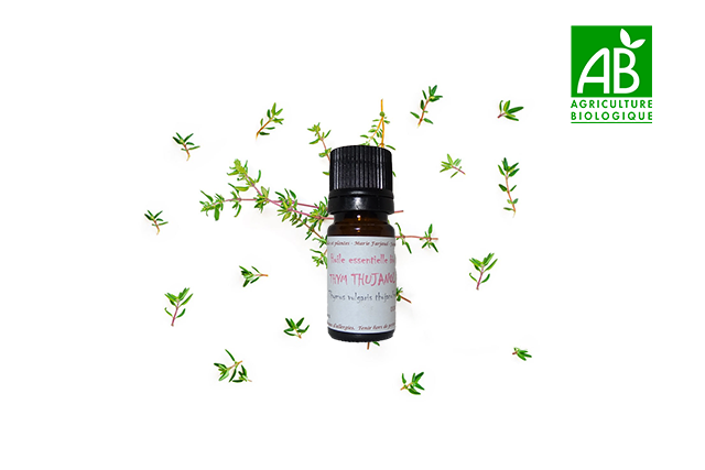 Huile essentielle bio de Thym Thymol