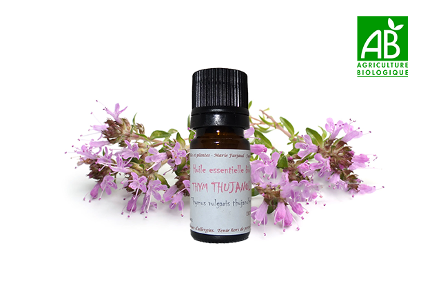 Huile essentielle bio de Thym Thymol