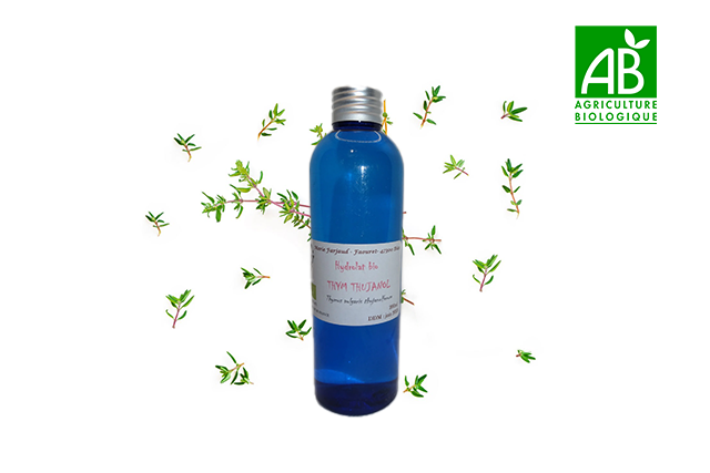 Recharge hydrolat de Thym Thujanol bio